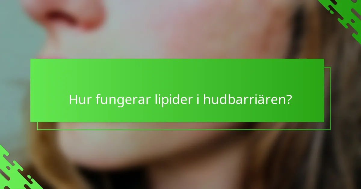 Hur fungerar lipider i hudbarriären?