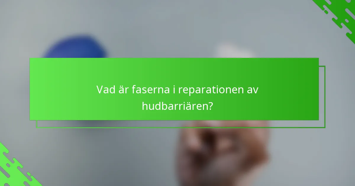 Vad är faserna i reparationen av hudbarriären?